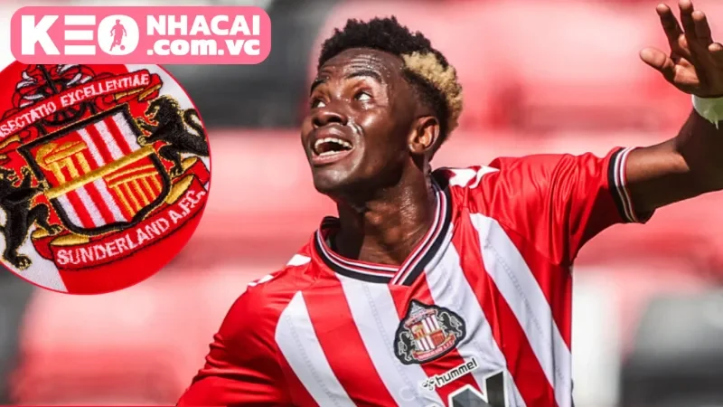 Lịch sử đối đầu của hai đội Sunderland vs Arsenal trong quá khứ